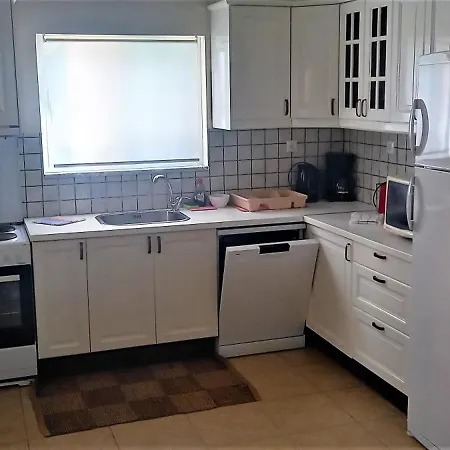 Vetsa's Experience *