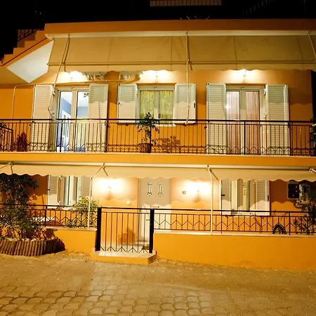 Vetsa's Experience *