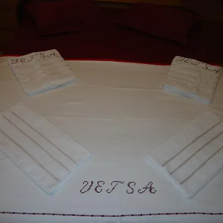 Vetsa's Experience *