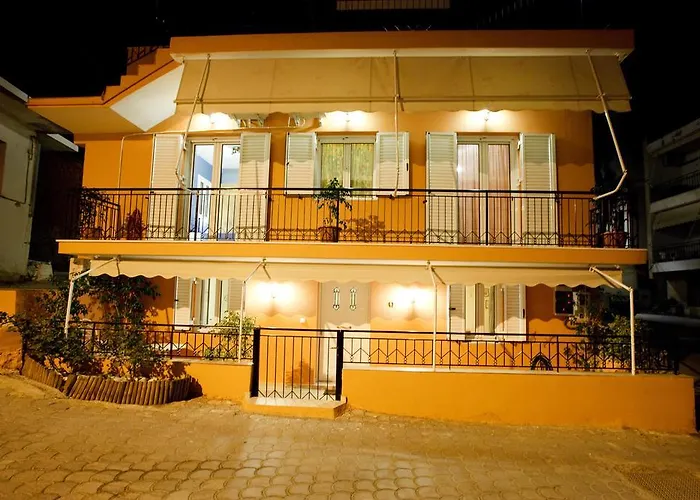 Vetsa's Experience *