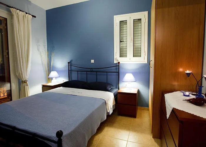 Vetsa's Experience * Tolón