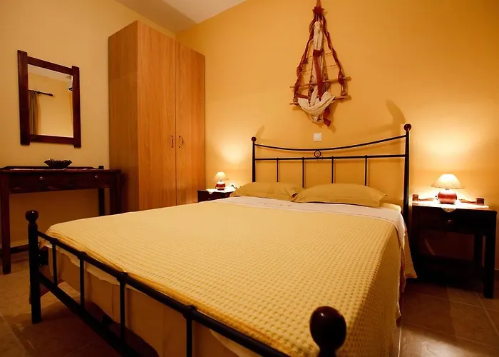 Vetsa's Experience Tolón