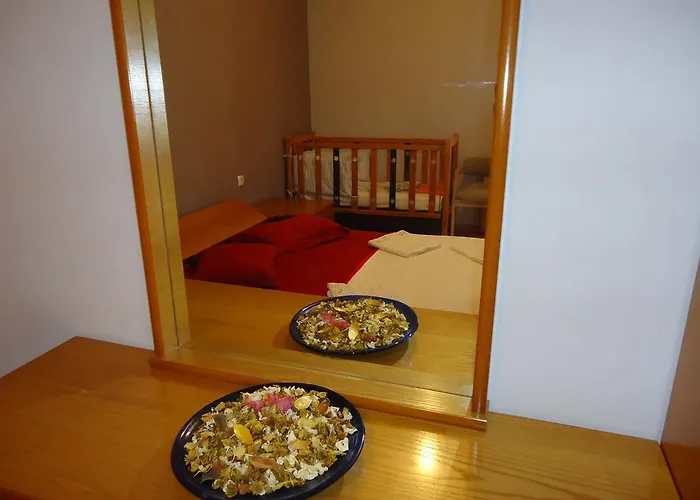 Vetsa's Experience *