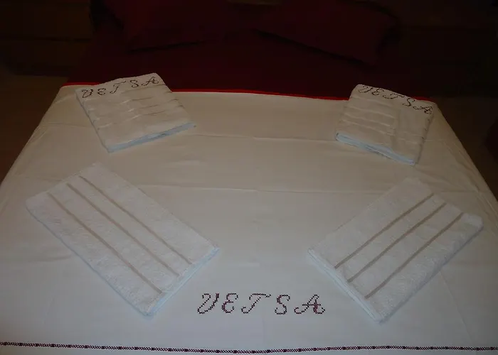 Vetsa's Experience *