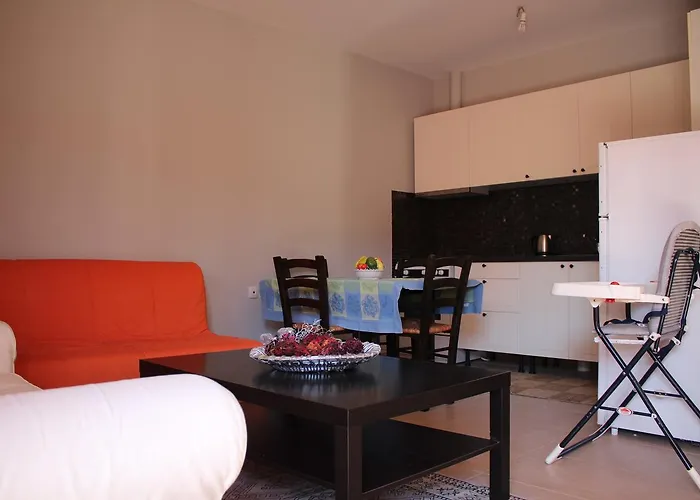 Vetsa's Experience Tolón